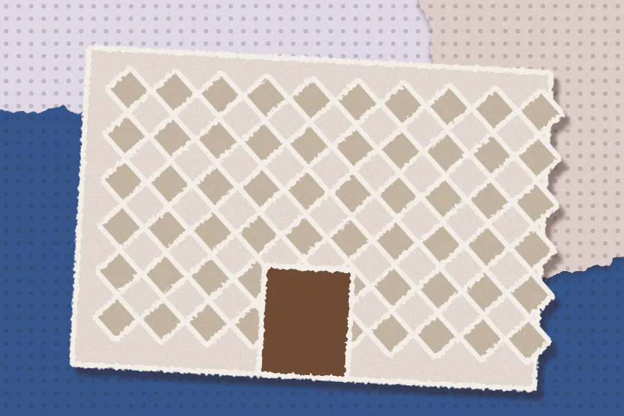Collage illustration: Casa dos Bicos